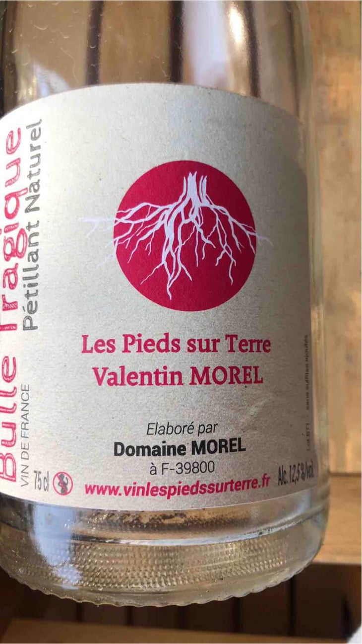 Bulle Tragique - Les Pieds Sur Terre - Valentin Morel 