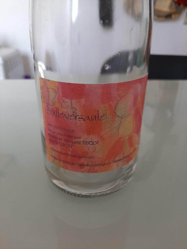 Bullerversante - Marie et Vincent Tricot - Vincent et Marie Tricot 