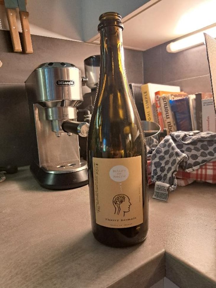 Bulles De Roche - Domaine des Roches Neuves - Thierry et Louis Germain 