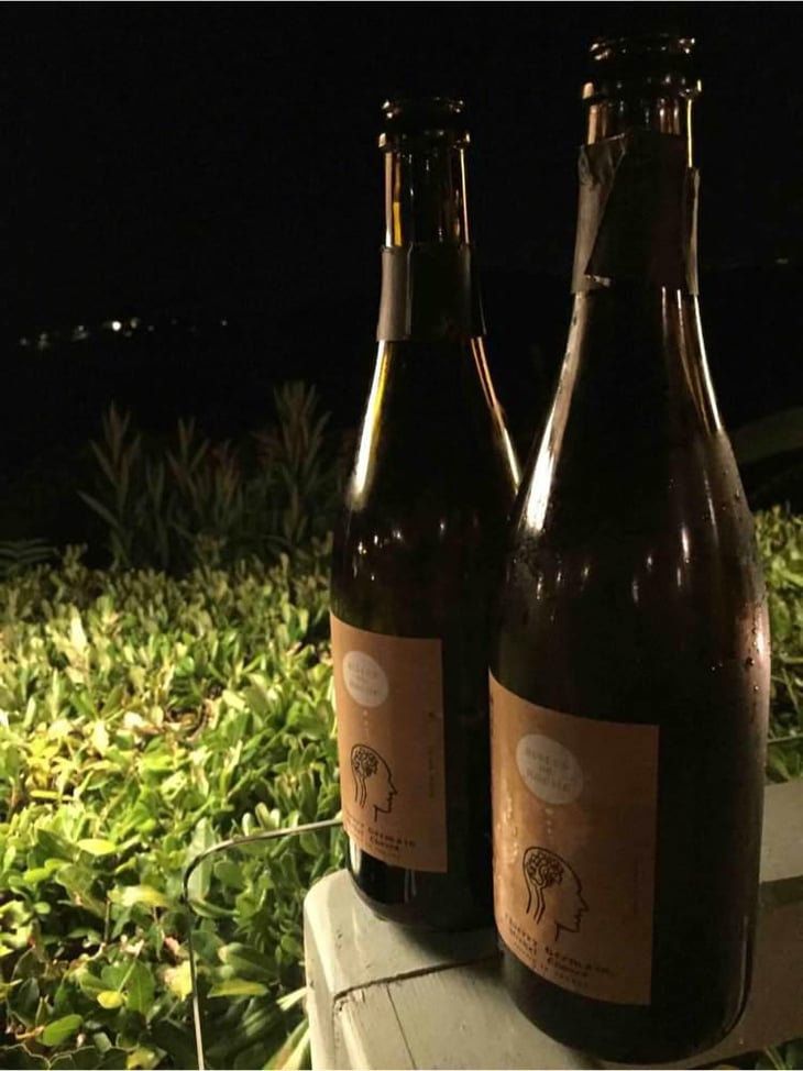 Bulles De Roche - Domaine des Roches Neuves - Thierry et Louis Germain 