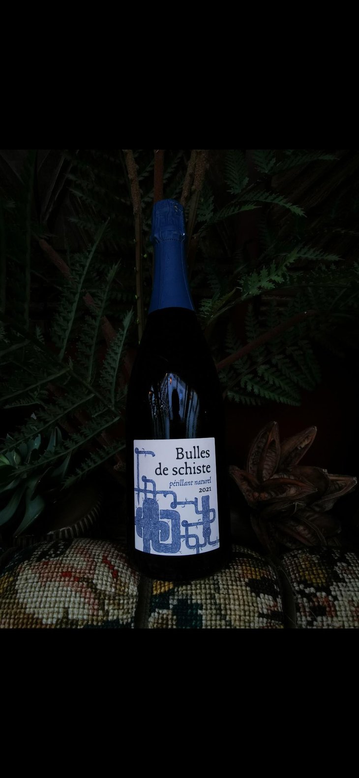 Bulles de Schiste - Terra Vita Vinum - Bénédicte & Luc Briand 