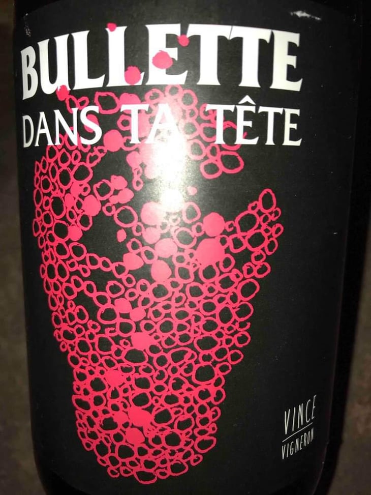 Bullette dans ta tête - No Control - Vincent Marie 