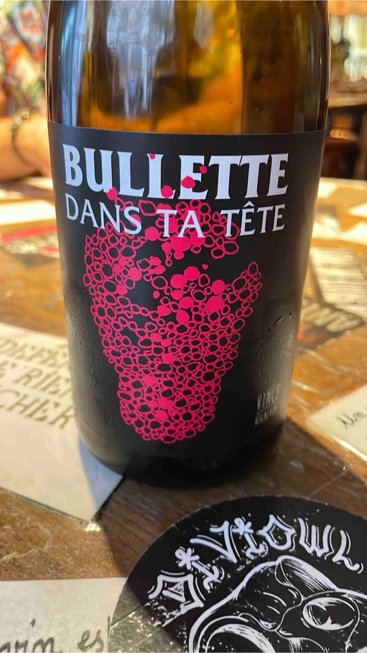 Bullette dans ta tête - No Control - Vincent Marie 