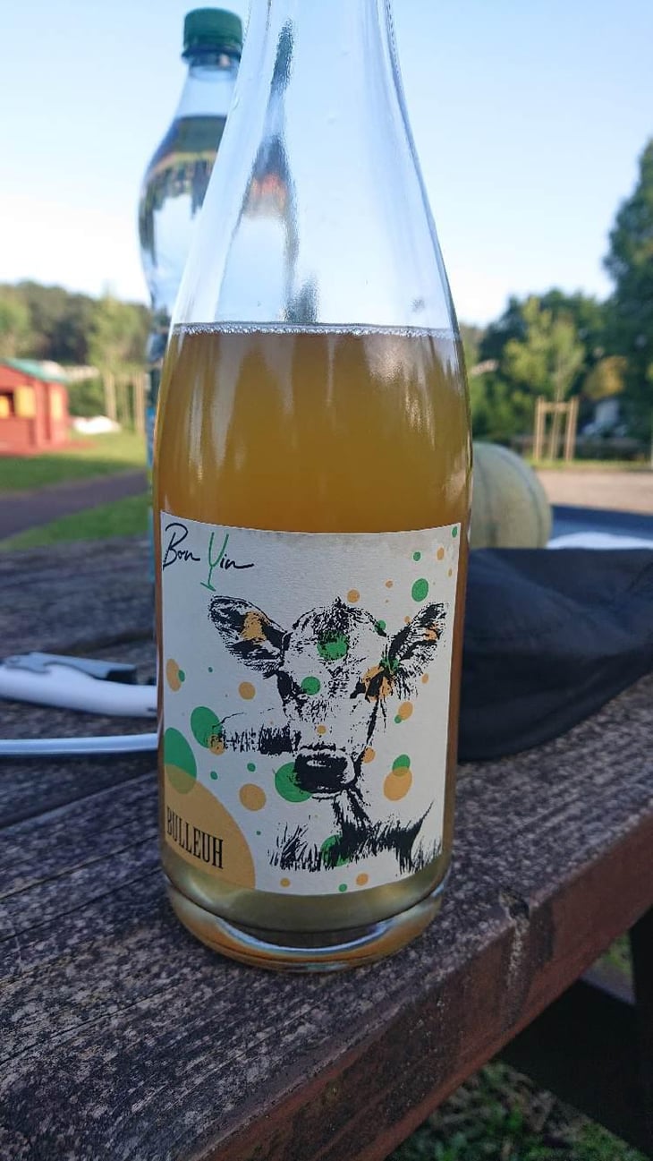 Bulleuh - Domaine De Bonvin - Manu & Jean-Baptiste Roux 