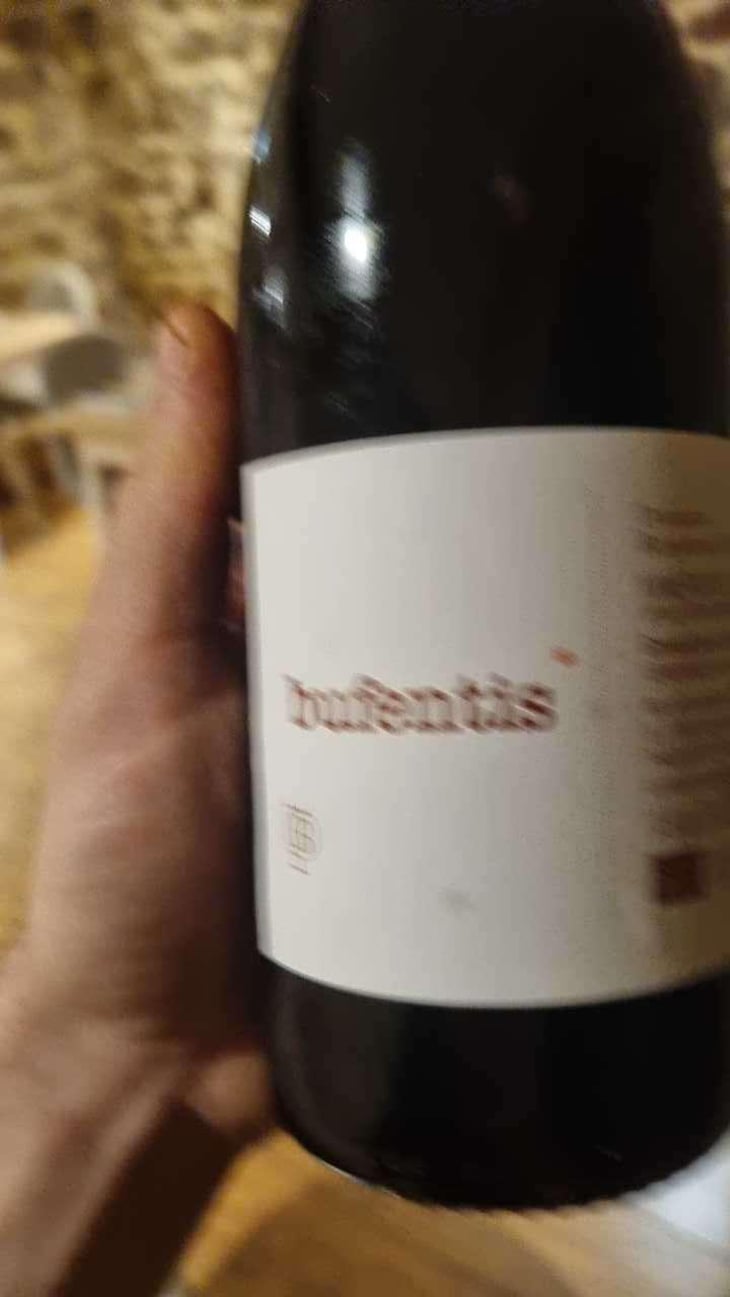 Bufentis - Domaine Benjamin Taillandier - Benjamin Taillandier 
