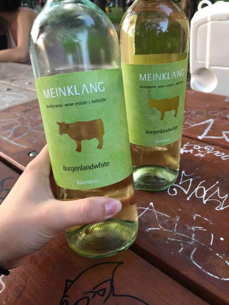 Burgenlandweiß - Meinklang - Weingut Michlits - Angela & Werner Michlits 