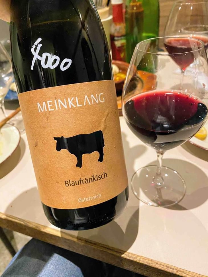 Burgenlandrot - Meinklang - Weingut Michlits - Angela & Werner Michlits 