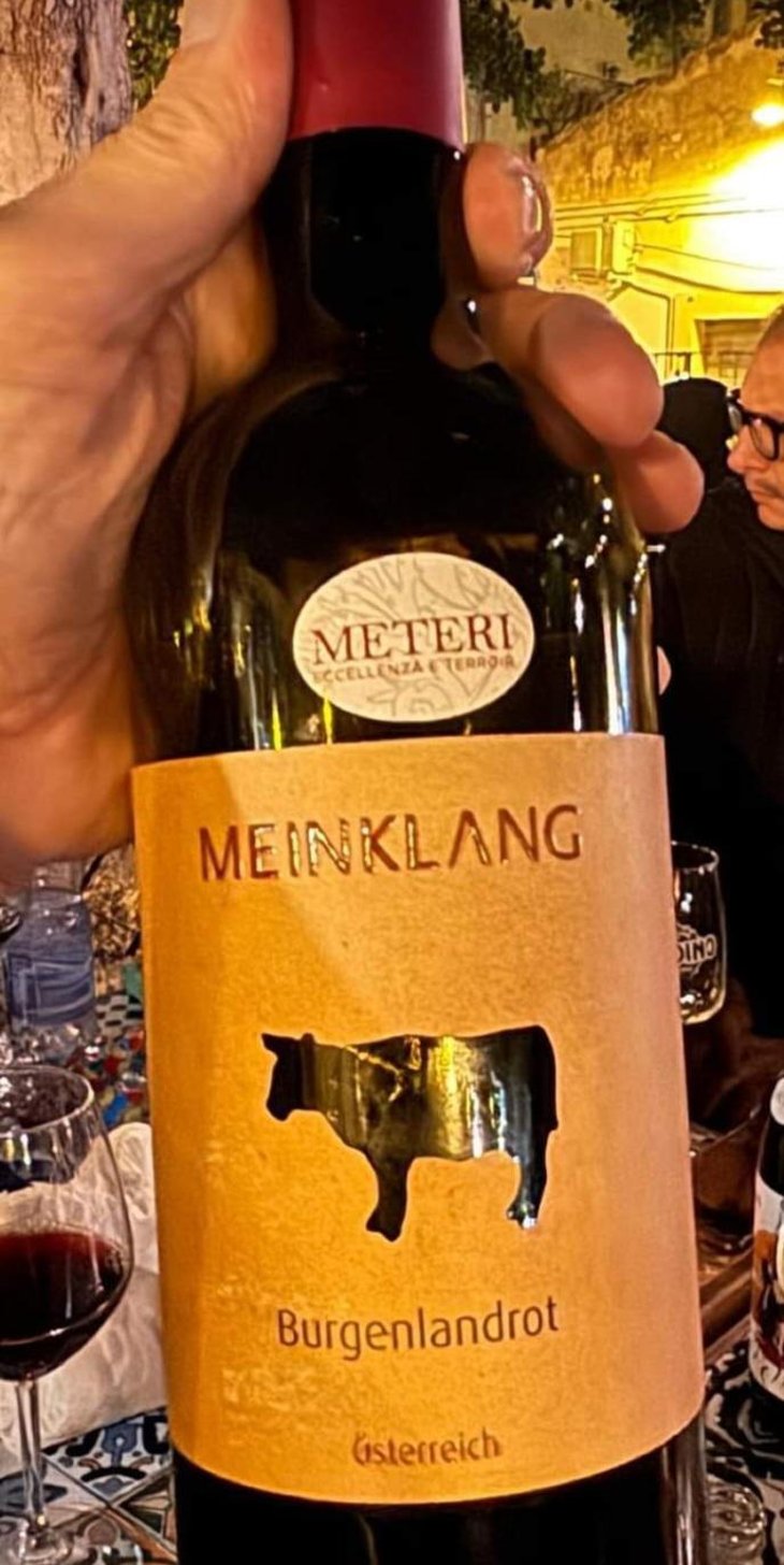 Burgenlandrot - Meinklang - Weingut Michlits - Angela & Werner Michlits 