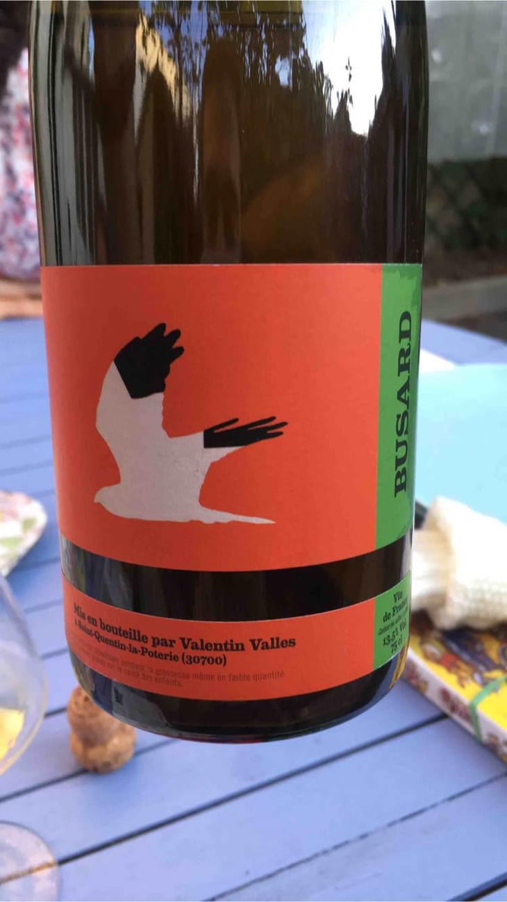 Busard - Valentin Valles - Valentin Valles 