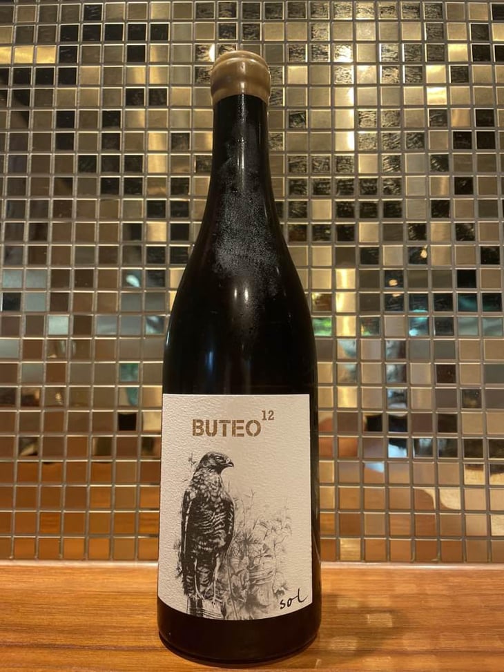 Buteo 12 - Sol - Michael Gindl 