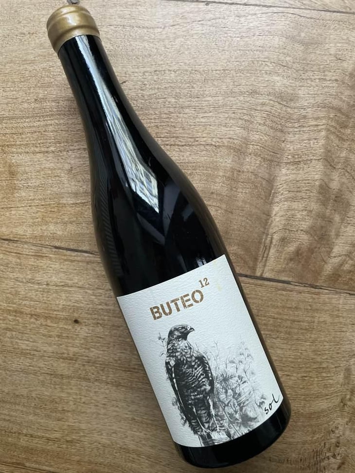 Buteo 12 - Sol - Michael Gindl 