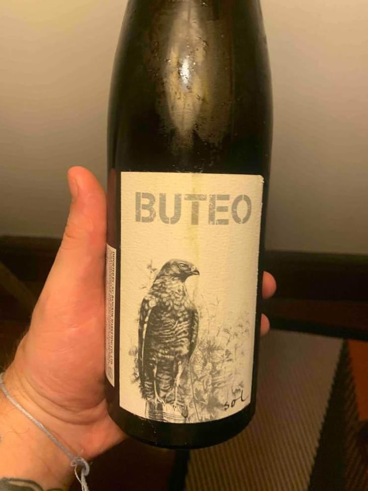 Buteo - Sol - Michael Gindl 