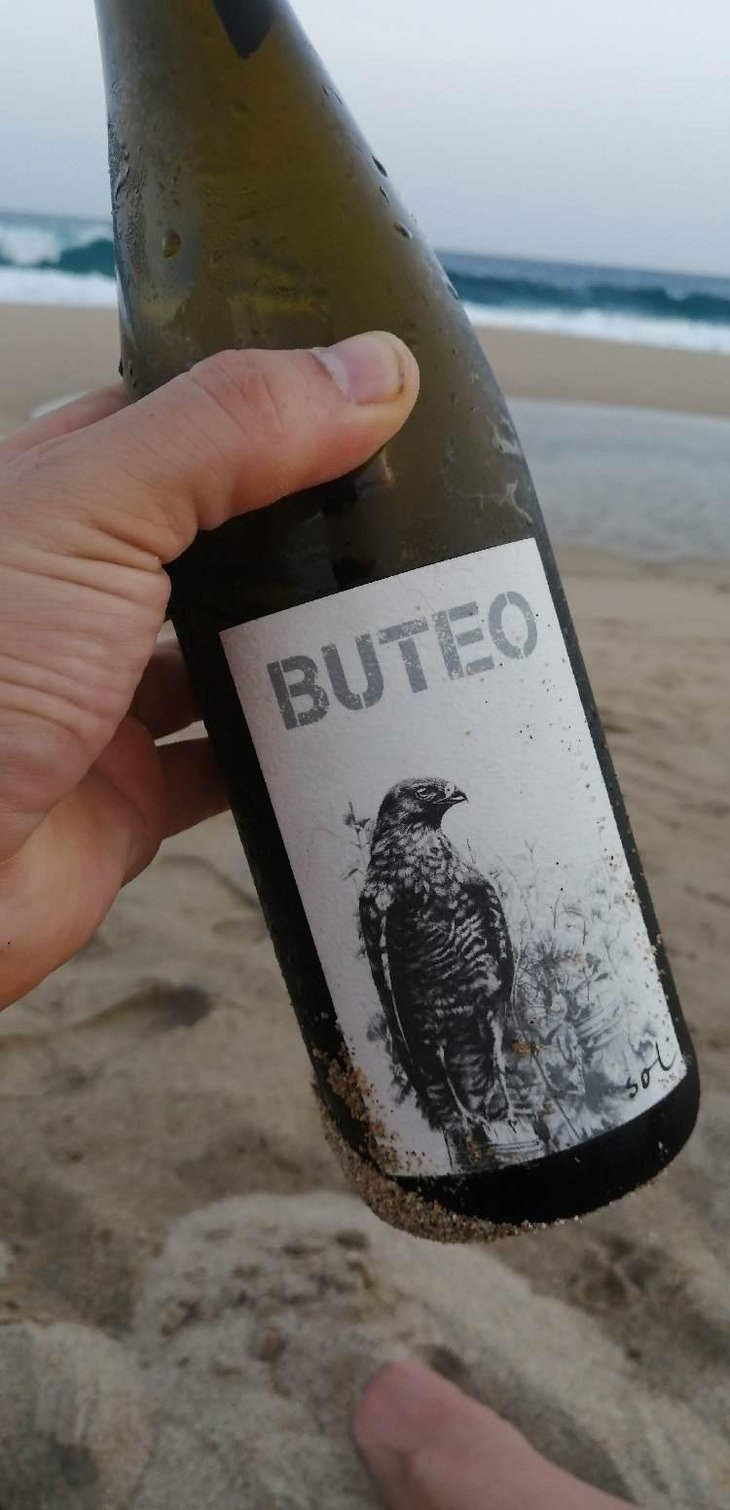 Buteo - Sol - Michael Gindl 
