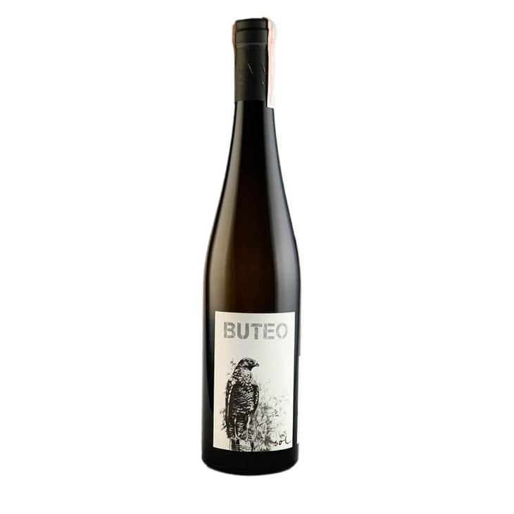 Buteo - Sol - Michael Gindl 