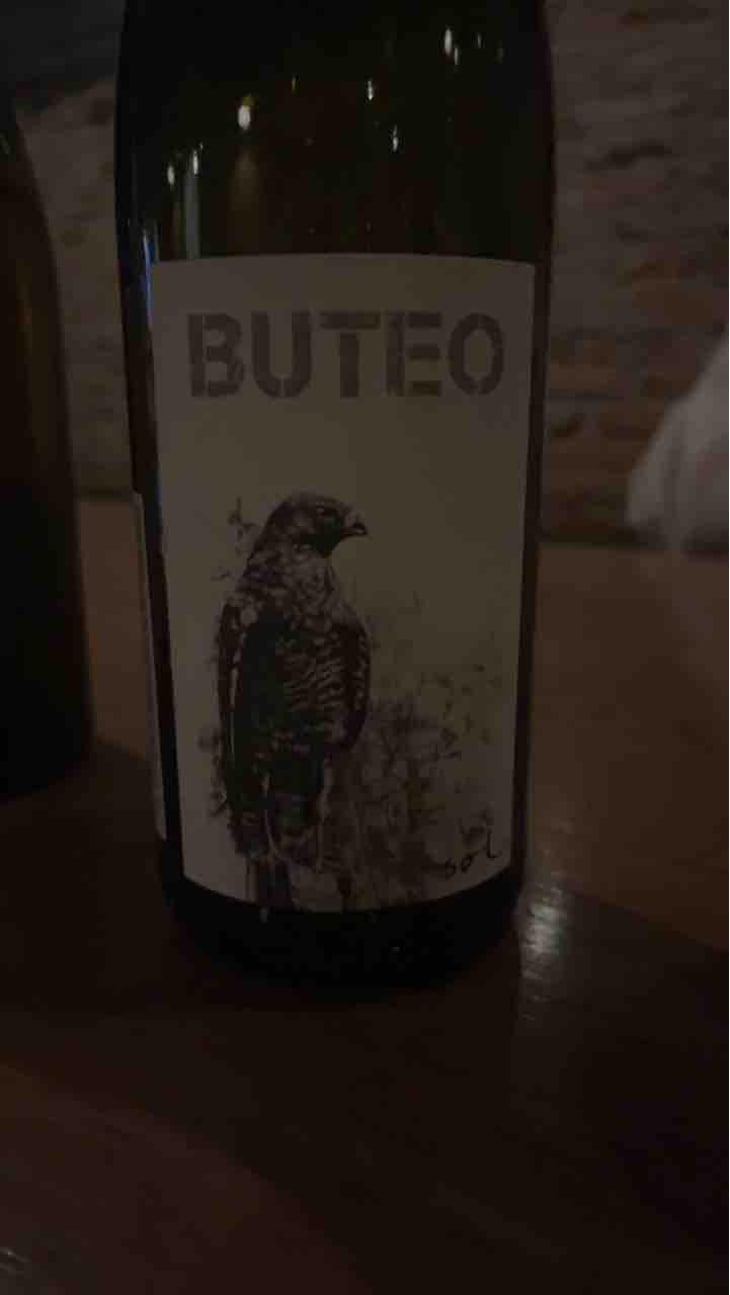 Buteo - Sol - Michael Gindl 