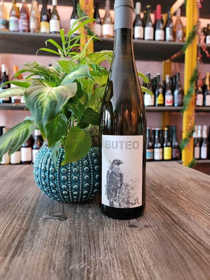 Buteo - Sol - Michael Gindl 