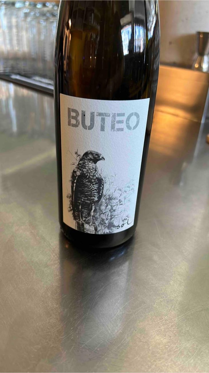 Buteo - Sol - Michael Gindl 