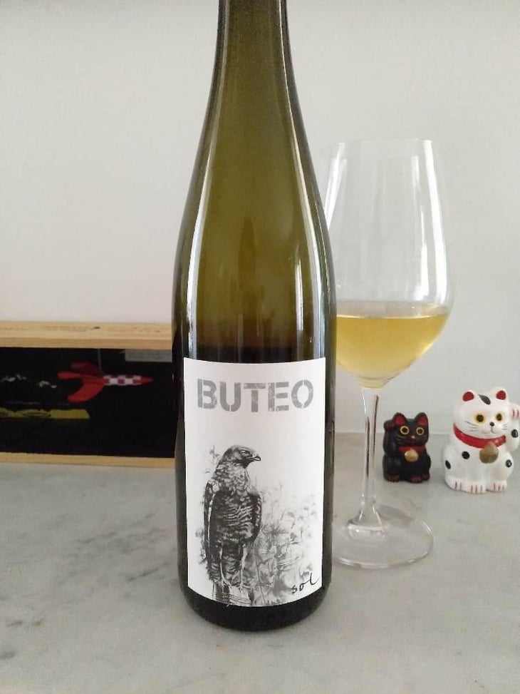 Buteo - Sol - Michael Gindl 