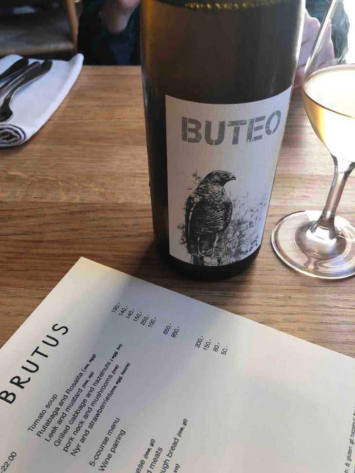 Buteo - Sol - Michael Gindl 