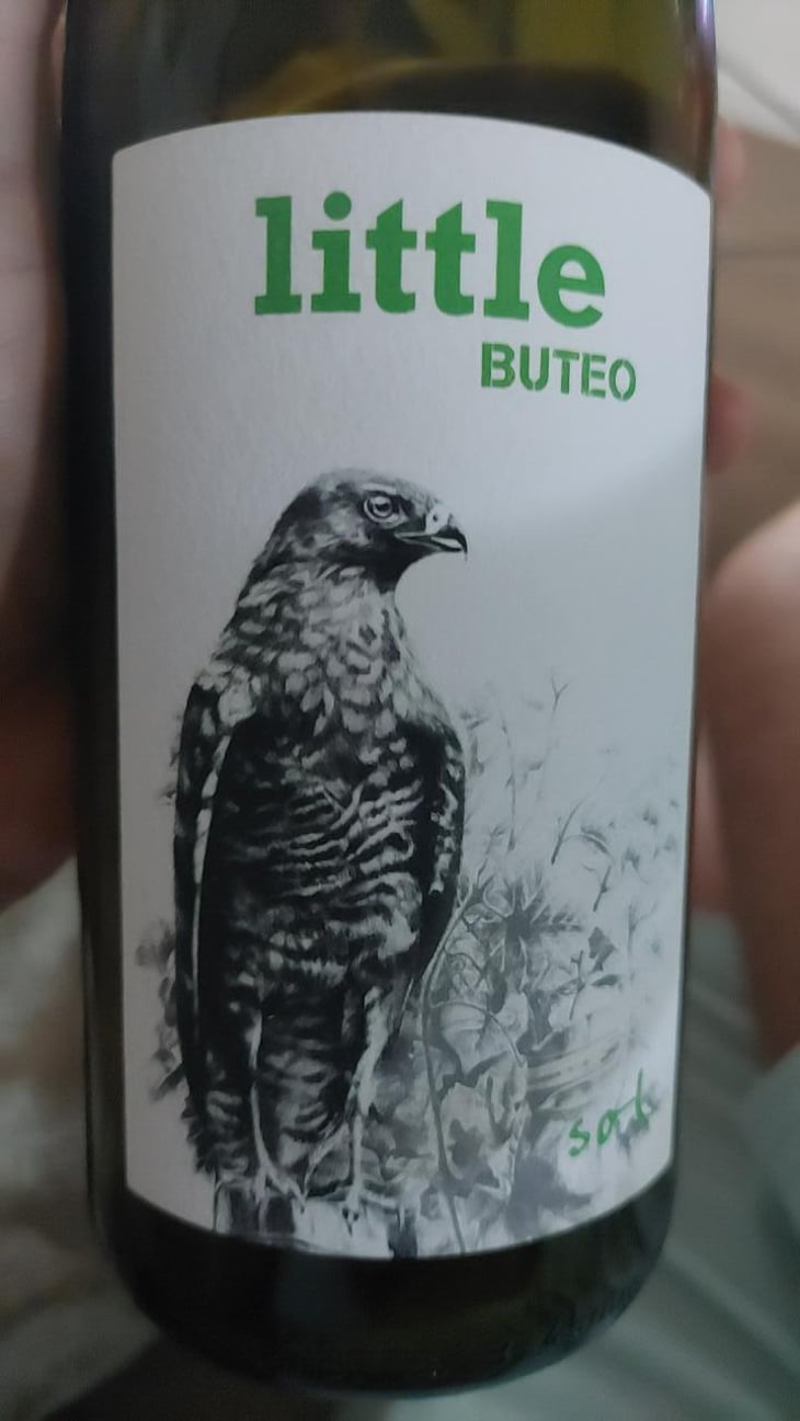 Buteo - Sol - Michael Gindl 