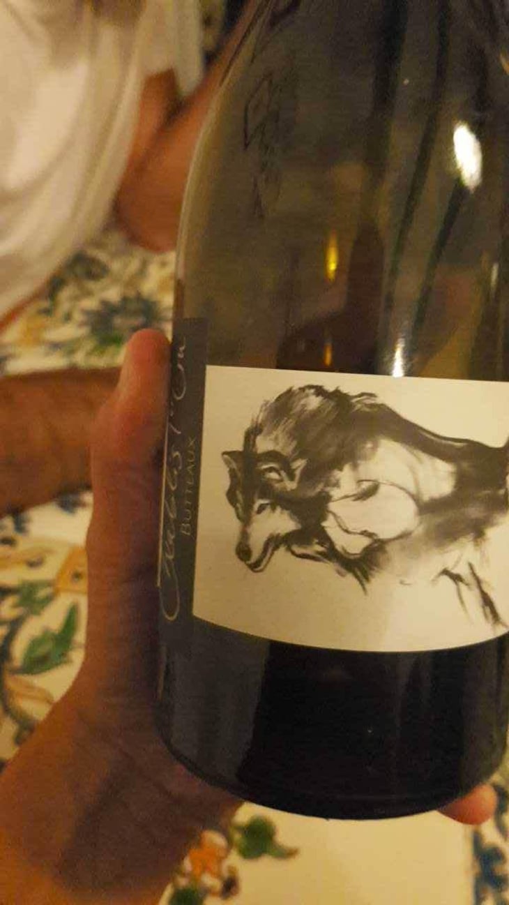 Butteaux - Domaine Pattes Loup - Thomas Pico 