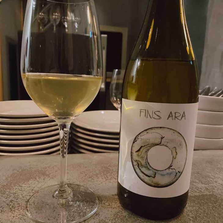 Fins Ara - Alvaro Gonzalez Marcos - Alvaro Gonzalez Marcos 