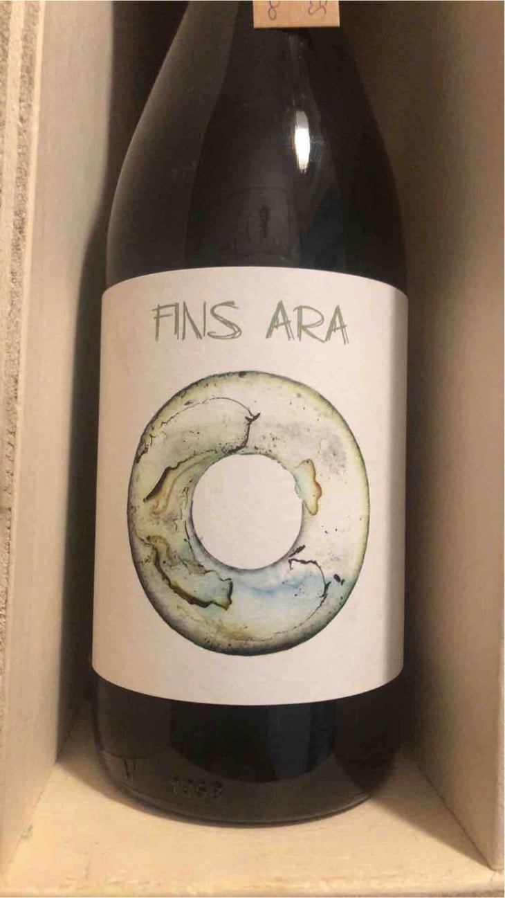 Fins Ara - Alvaro Gonzalez Marcos - Alvaro Gonzalez Marcos 