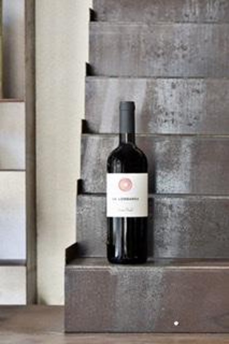 Ca’ Lombarda Merlot - Azienda Agricola Il Cavallino - Sauro Maule 