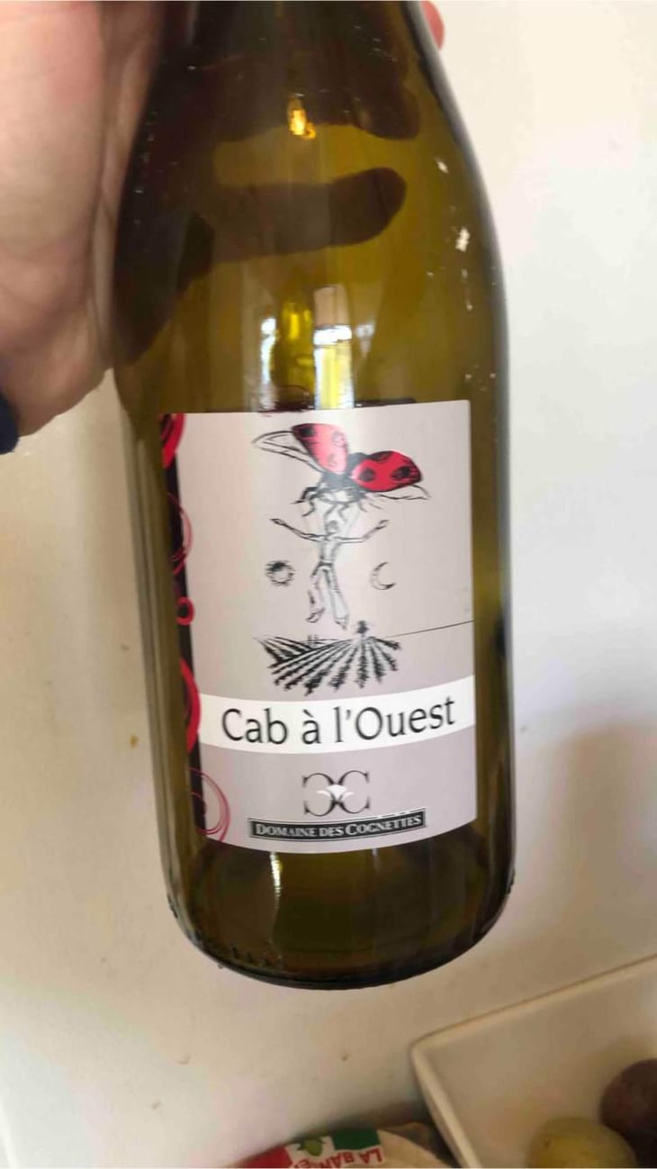 Cab A Louest - Domaine Des Cognettes - Stéphane & Vincent Perraud -2019