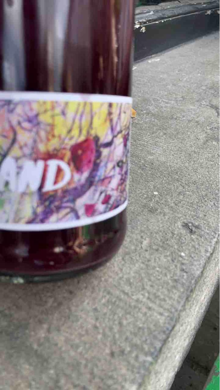 Cabernet Franc - Brand Bros - Weingut Brand - Daniel & Jonas Brand 