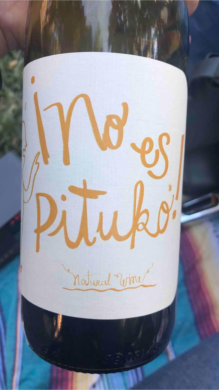 No Es Pituko Cabernet Franc - Viña Echeverría - Quasar Wines - Roberto, Viviana, Paulina & Diego Echeverría 