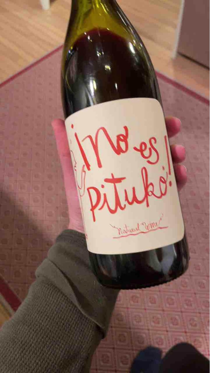 Cabernet Franc - Viña Echeverría - Quasar Wines [BIO_ORGANIC] - Roberto, Viviana, Paulina & Diego Echeverría 