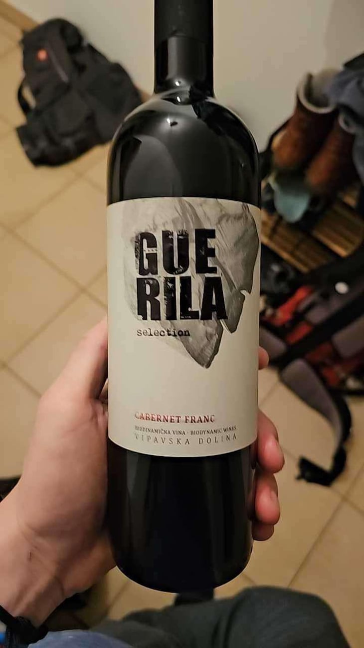 Cabernet franc selection - Guerila - Zmagoslav Petrič 