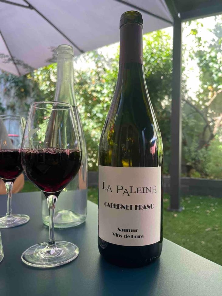 Cabernet Franc - Domaine De La Paleine - Jean-Louis Bernet (ex Laurence et Marc Vincent) 
