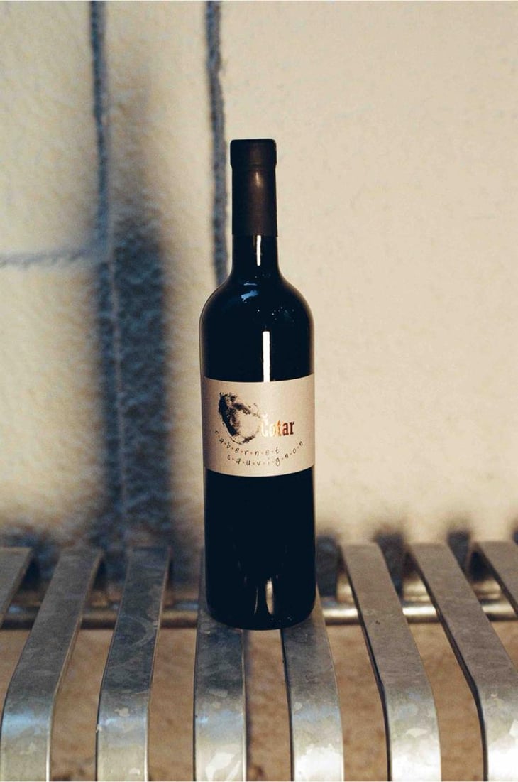 Cabernet Sauvignon - Čotar - Branko & Vasja Čotar 