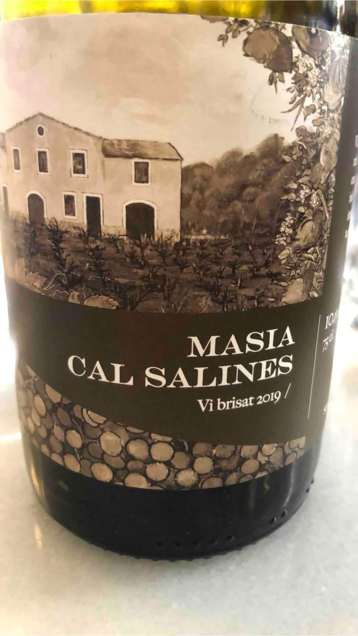 Masia Cal Salines - Cal Teixidor - Josep Casañas 
