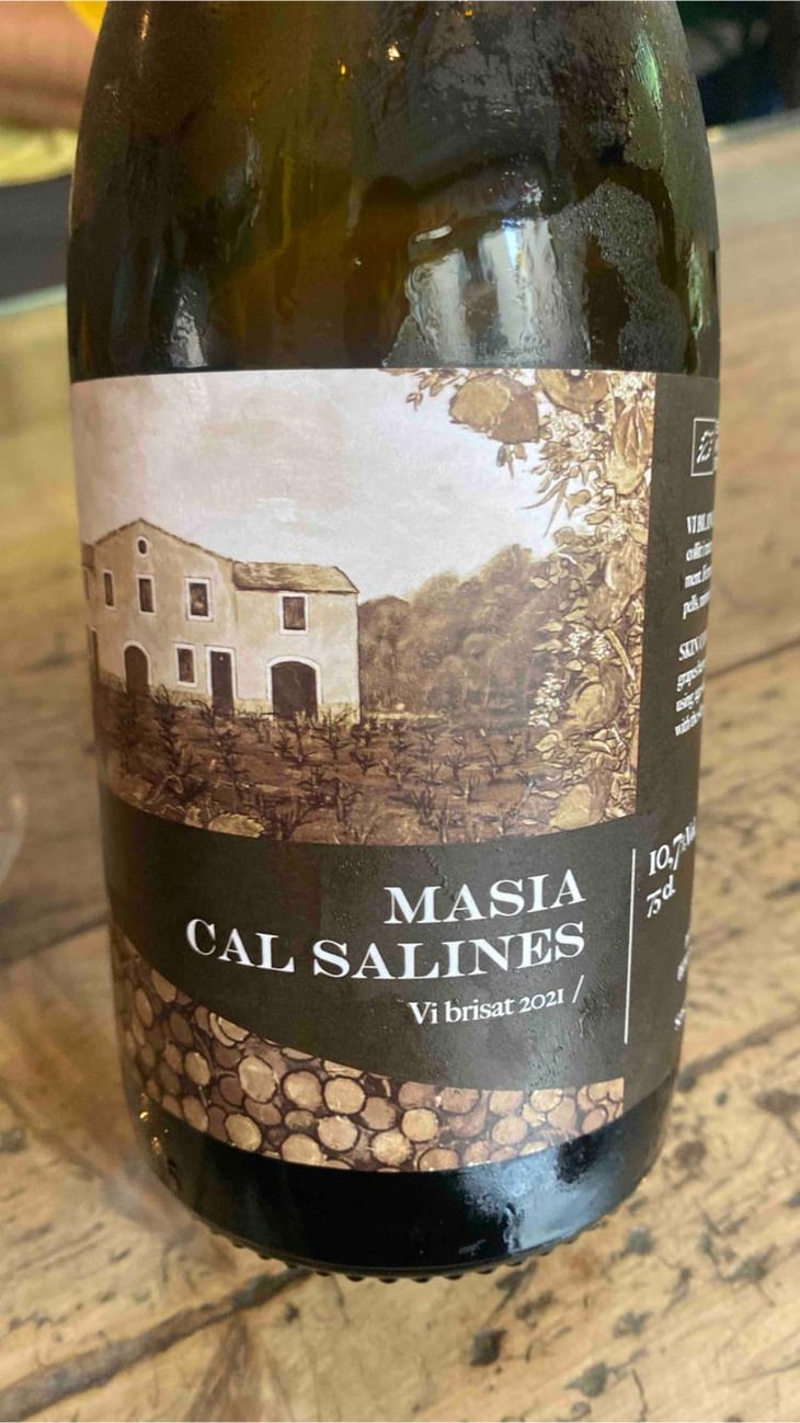 Masia Cal Salines - Cal Teixidor - Josep Casañas 