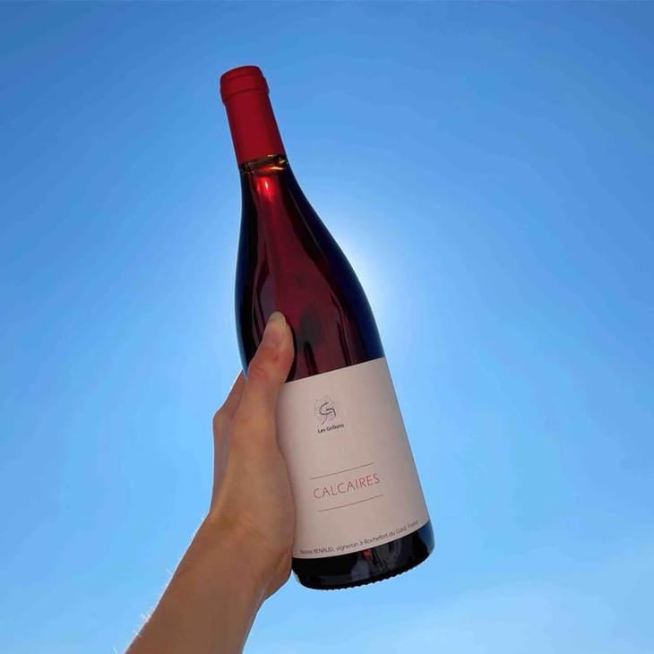 Calcaires - Clos des Grillons - Nicolas Renaud 