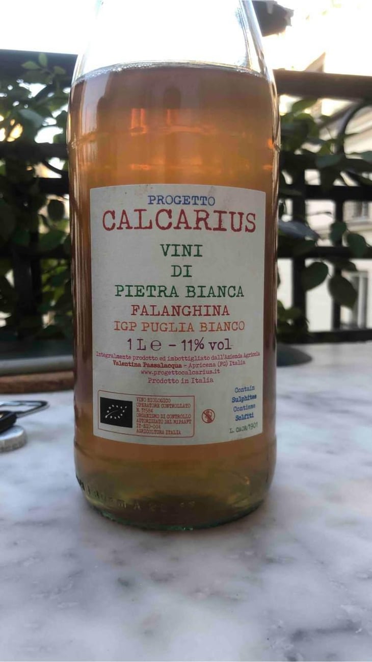 Calcarius Orange Puglia - Valentina Passalacqua - Valentina Passalacqua 