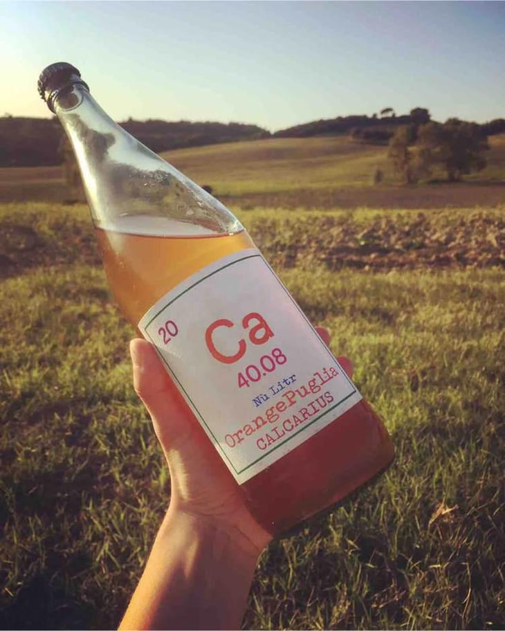 Calcarius Orange Puglia - Valentina Passalacqua - Valentina Passalacqua 
