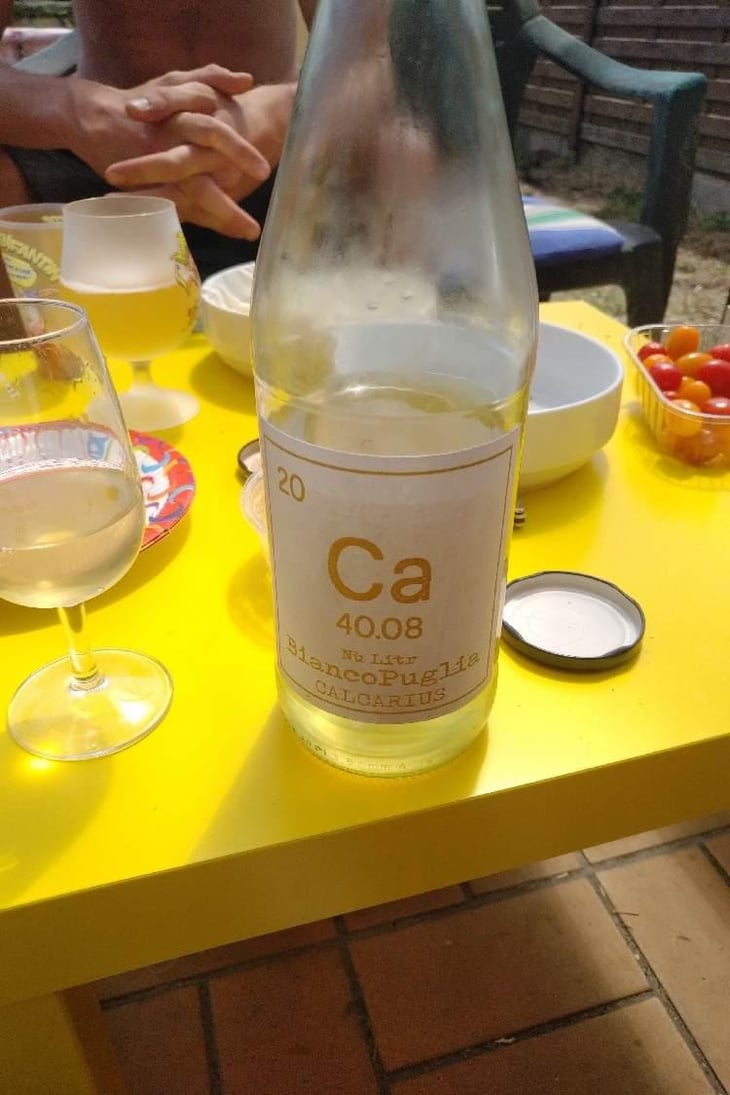 Calcarius Orange Puglia - Valentina Passalacqua - Valentina Passalacqua 