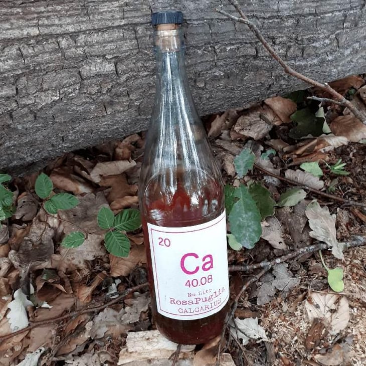 Calcarius Rosa Puglia - Valentina Passalacqua - Valentina Passalacqua 