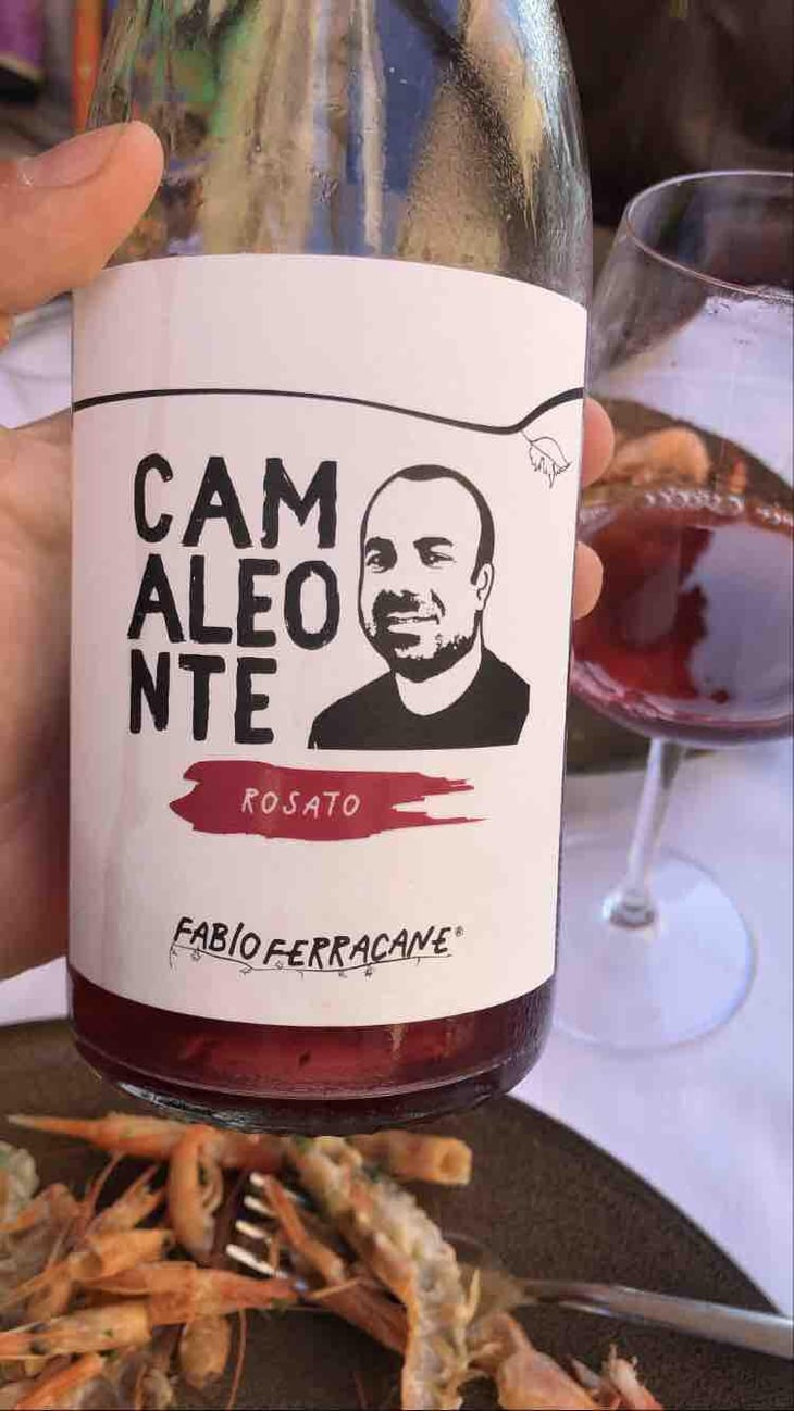 Camaleonte - Azienda Agricola Ferracane - Fabio Ferracane 