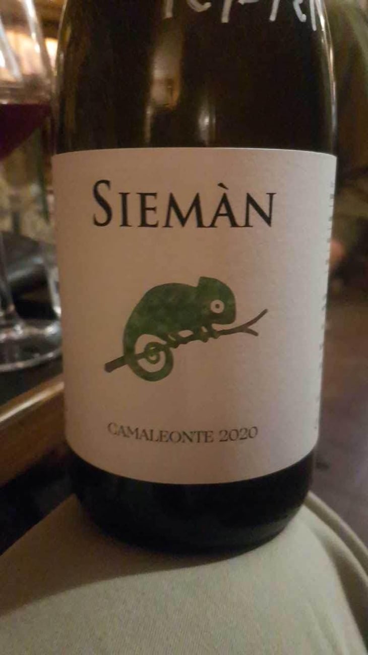 Camaleonte - Siemàn - Marco, Daniele, Andrea Filippini 