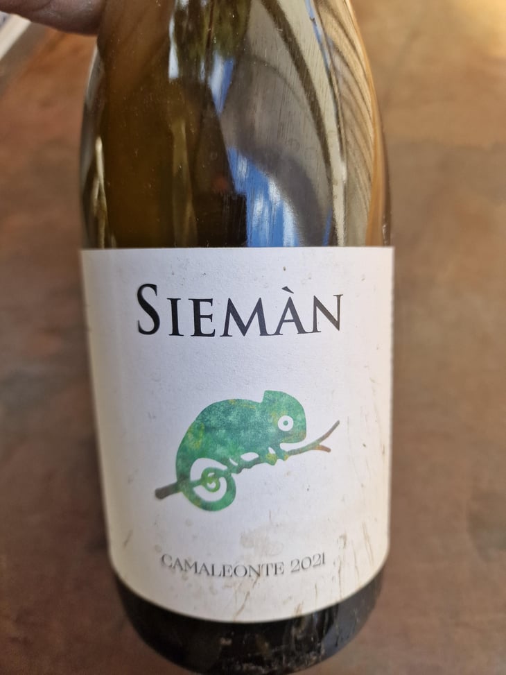 Camaleonte - Siemàn - Marco, Daniele, Andrea Filippini 
