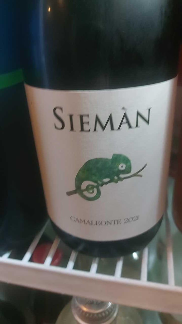 Camaleonte - Siemàn - Marco, Daniele, Andrea Filippini 