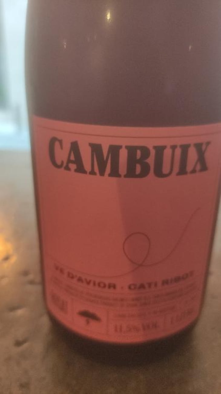 Cambuix - Ve d'Avior - Cati Ribot 