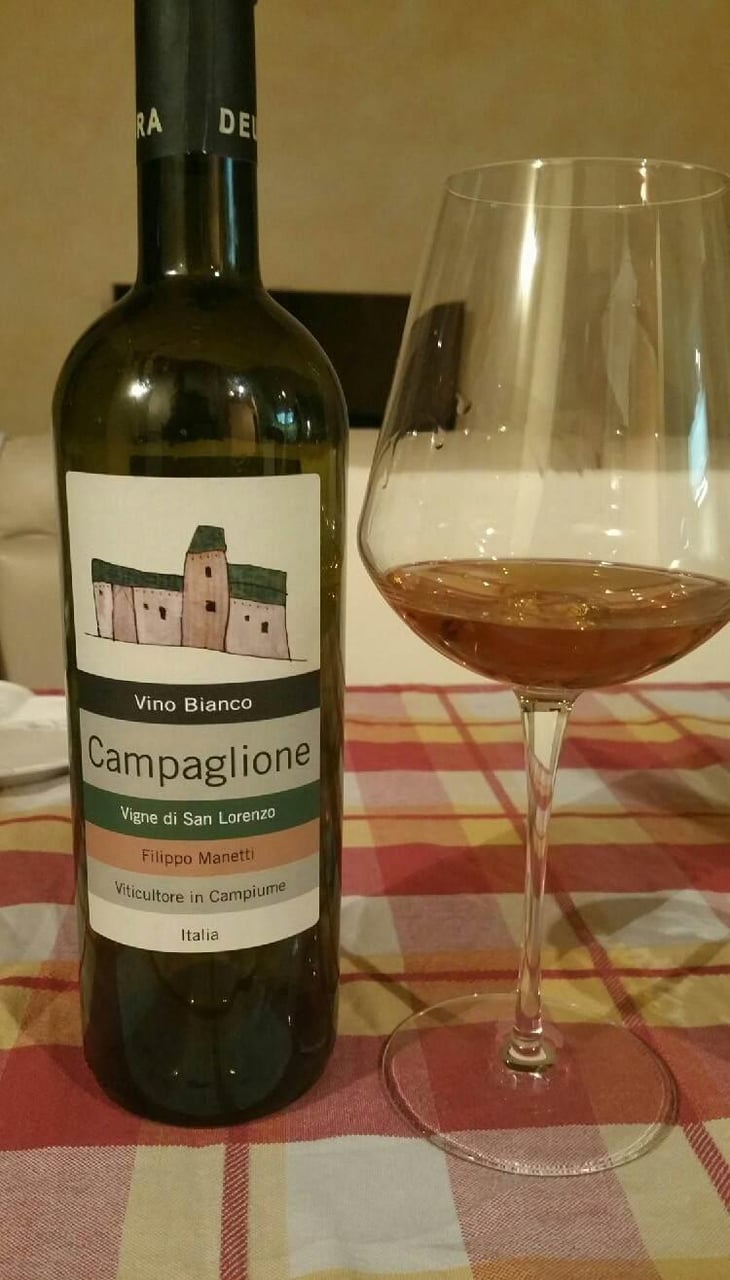 Campaglione Bianco - Vigne di San Lorenzo - Filippo Manetti 