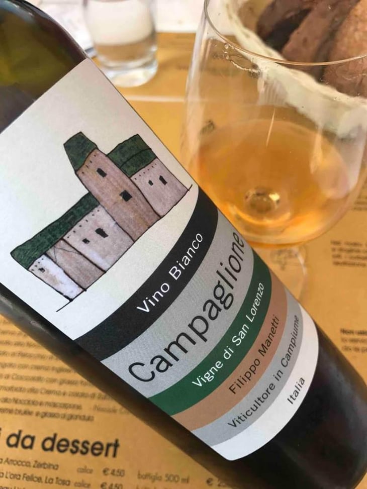 Campaglione - Vigne di San Lorenzo - Filippo Manetti 