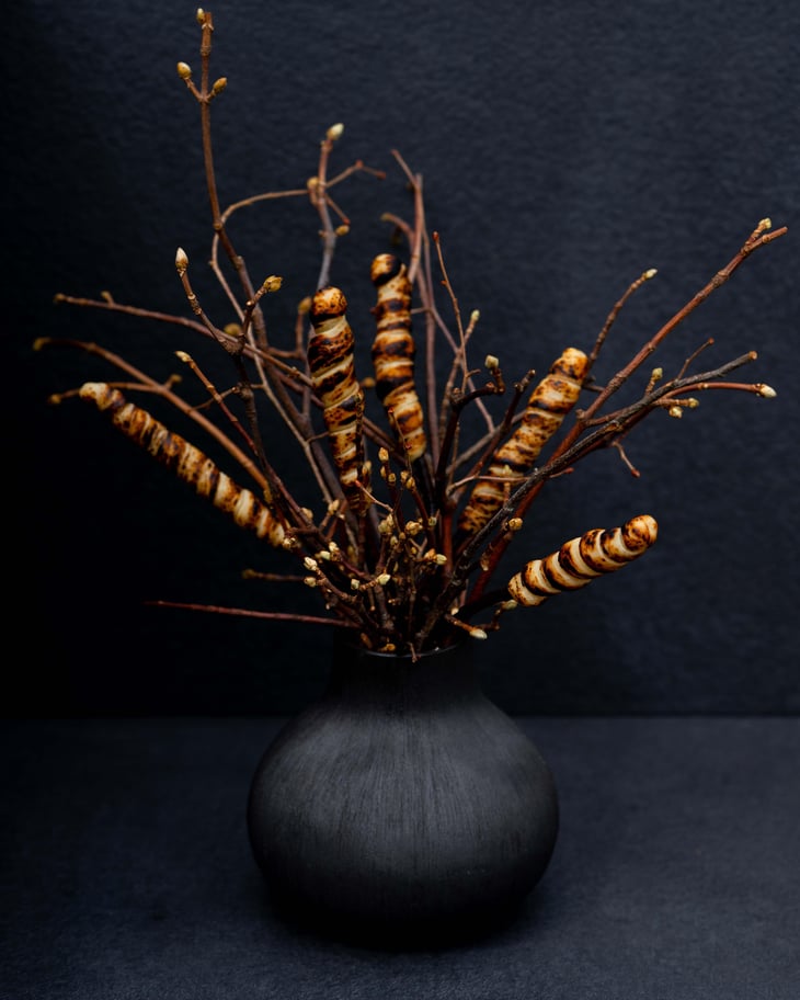 Campfire Bread - Villa Hundert - 797431